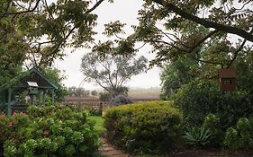Jasmine'S Barossa Valley Cottage